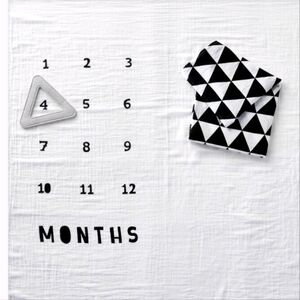 Muslin blankets with felt frame triangle- Cloud Island